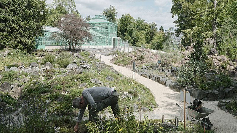 Botanischer Garten_Schreyer David 