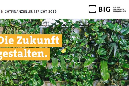 Cover NFI Bericht 2019