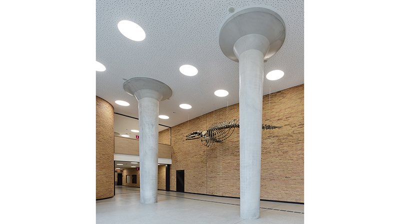 University of Vienna Biology Building | Foyer