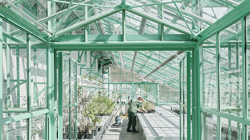 Botanischer Garten_Schreyer David 