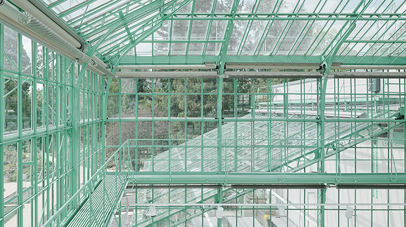 Botanischer Garten_Schreyer David 