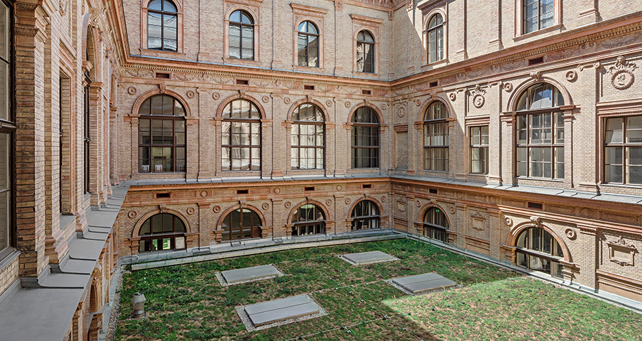 Extensiv begrüntes Dach auf dem Audimax der Uni Wien