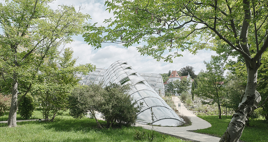 Botanischer Garten der Uni Graz - Glashaus von Volker Giencke