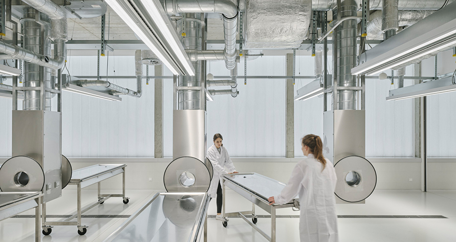 Anatomie der Medizinischen Universität Graz - Seziersaal