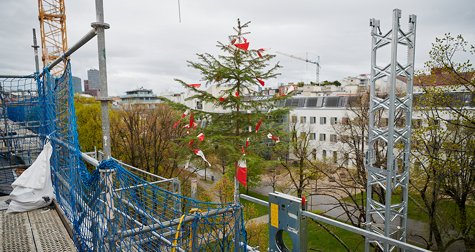 Dachgleiche mdw-Dachgeschoßausbau
