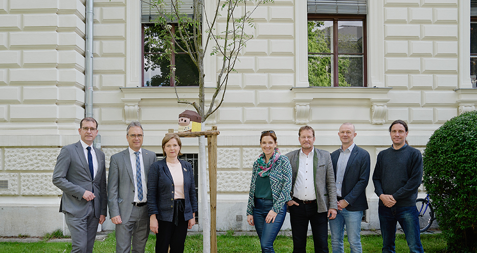 Eine Vogelbeere wird am Campus der Universität Graz gepflanzt